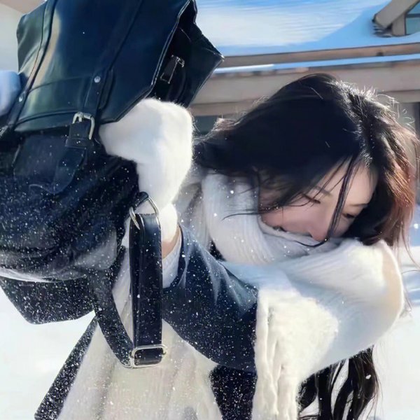 知无涯者海报